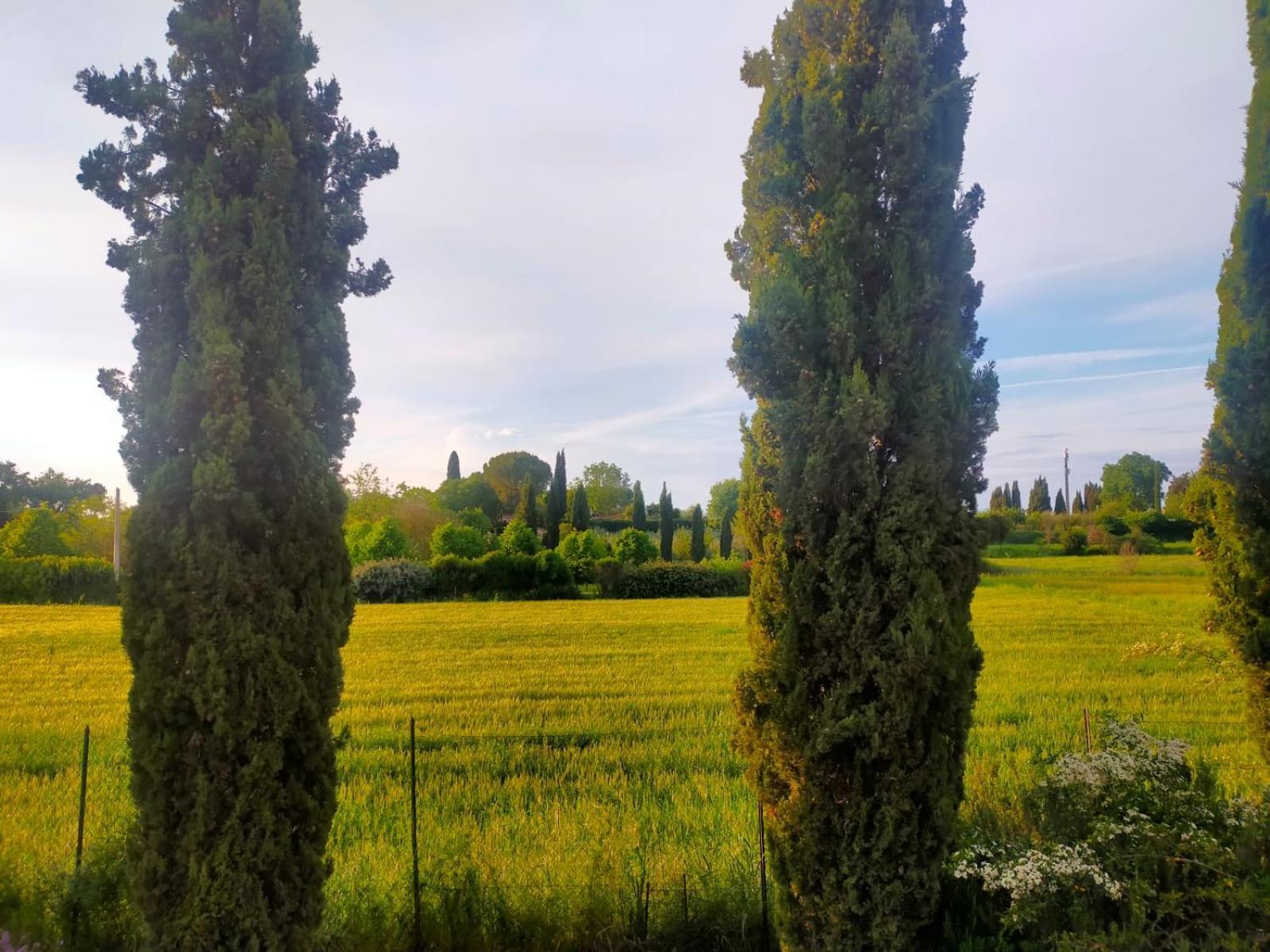 Villetta Con Parco Vicino San Gimignano Colle Val D'Elsa Bagian luar foto